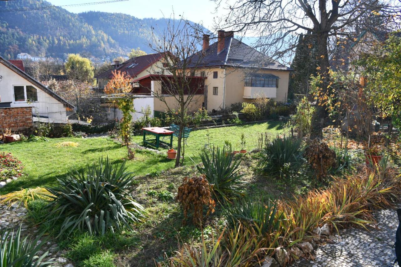 Magic House Brasov Apartment Екстериор снимка
